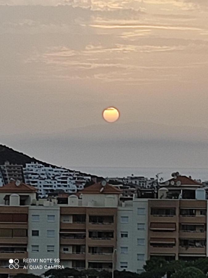 Castle Harbour 425 Lejlighed Los Cristianos  Eksteriør billede